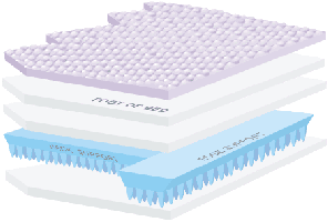 100% Waveless